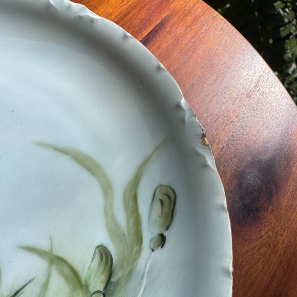 1891-1906, Vintage RC Rosenthal Versailles Bavaria Plate  Set of 2 Rare Antique Rosenthal Versailles Daffodil 8\
